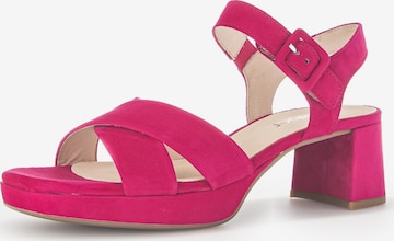 GABOR Sandals in Pink: front