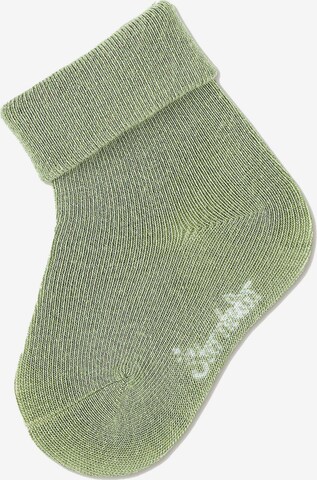 STERNTALER Socks in Green