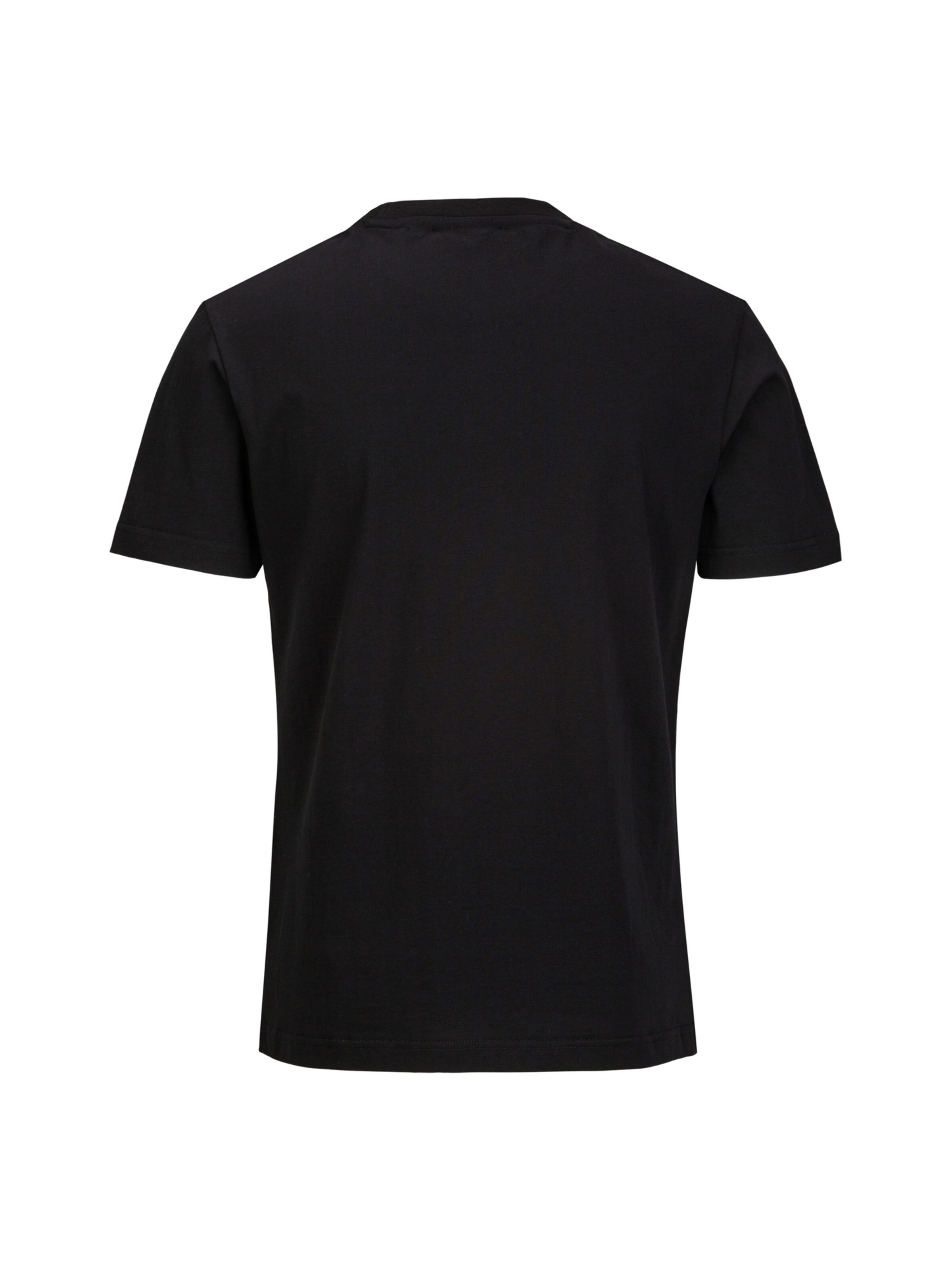 19V69 ITALIA T-Shirt 'Rafael Italian Teddy' in Schwarz