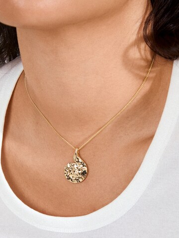 Chaîne 'HAZE' Pilgrim en or