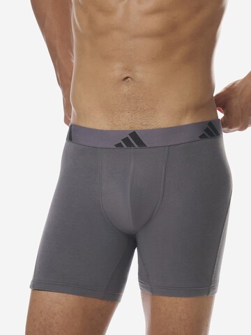 Boxers ' Active Flex Cotton ' ADIDAS SPORTSWEAR en mélange de couleurs