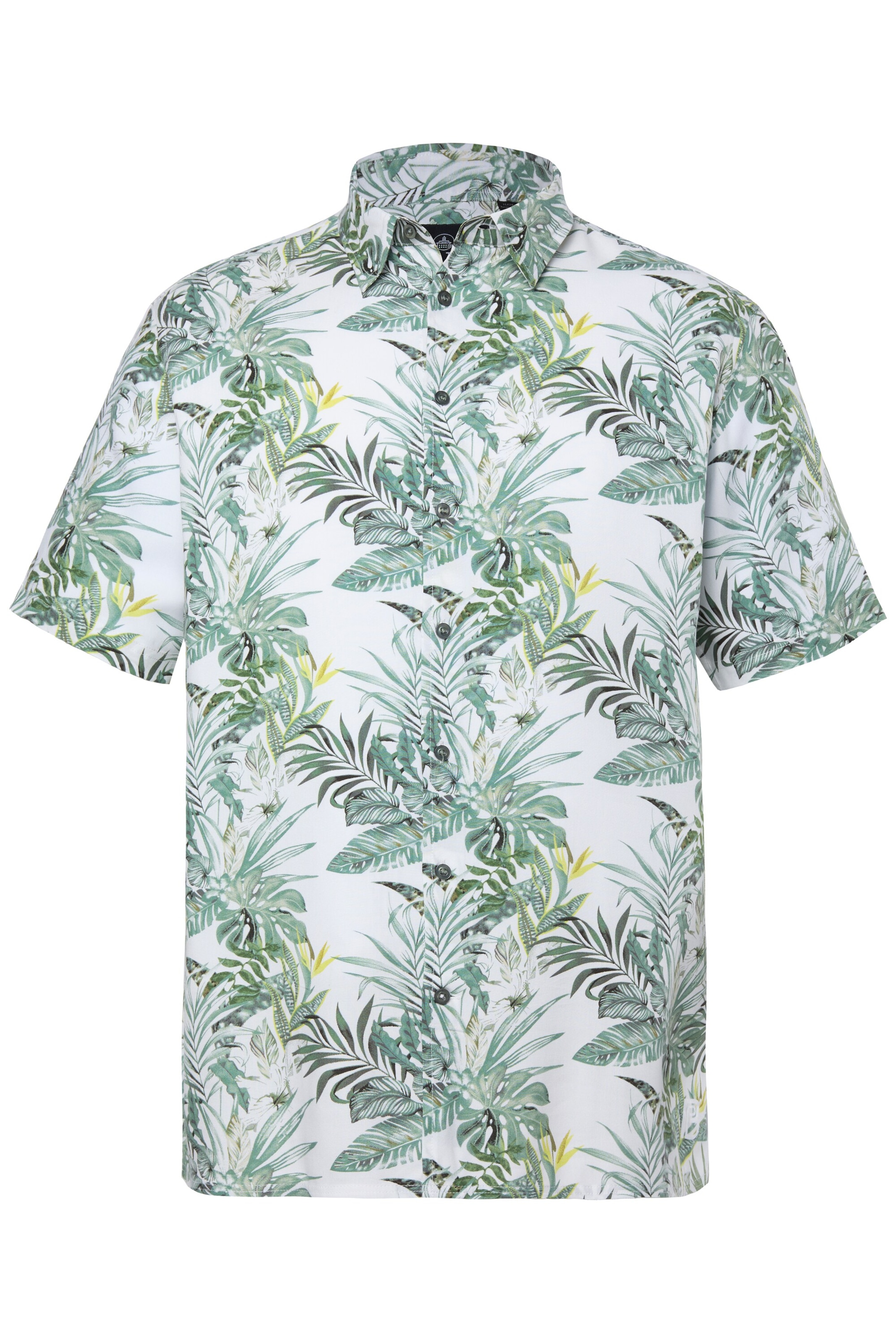 Boston Park Comfort Fit Hemd in Grün: Vorderseite