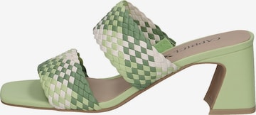 CAPRICE Mules in Green