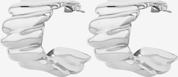 Akzent Earrings 'langlebig' in Silver: front