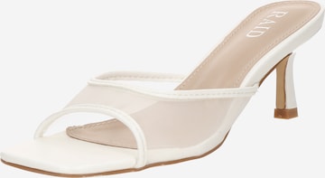 Mule 'TIANA' Raid en blanc : devant