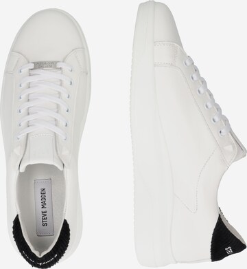 STEVE MADDEN - Sapatilhas baixas 'ALEX' em branco