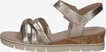 CAPRICE Strap Sandals in Brown