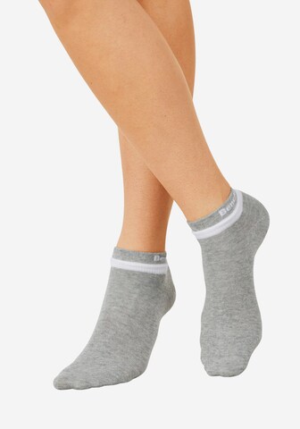 BENCH Ankle Socks in Mixed colors: front