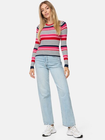 Threadbare Sweater 'Hannah' in Mixed colors