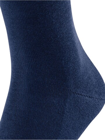 FALKE Socks 'Family' in Blue: front