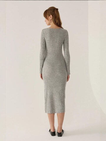 Hiccup Kleid in Grau