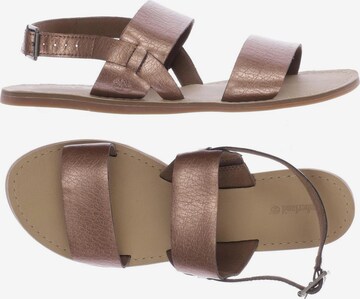 TIMBERLAND Sandals & High-Heeled Sandals in 41,5 in Brown: front