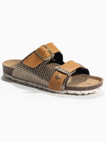 Bayton - Pantufa 'Narnia' em ouro