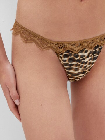 INTIMISSIMI String 'Wildest Dreams' in Braun