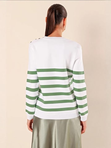 Bigdart Trui in Groen