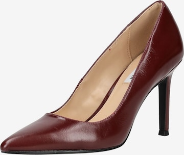 STEVE MADDEN Pumps in Rot: Vorderseite