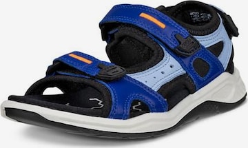 ECCO Sandals in Blue: front