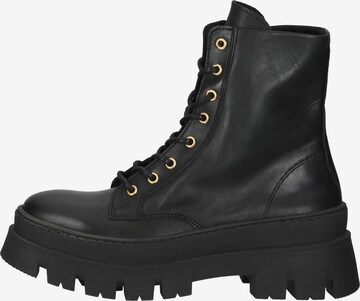 STEVE MADDEN Veterlaarsjes in Zwart