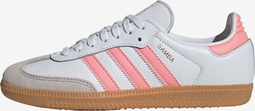 Sneaker 'Samba' di ADIDAS ORIGINALS in bianco: frontale