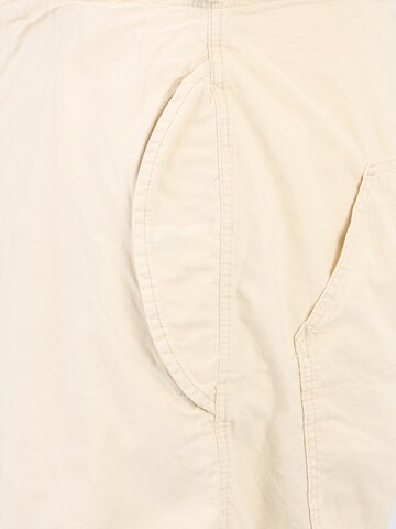 BDG Urban Outfitters - Loosefit Pantalón en beige