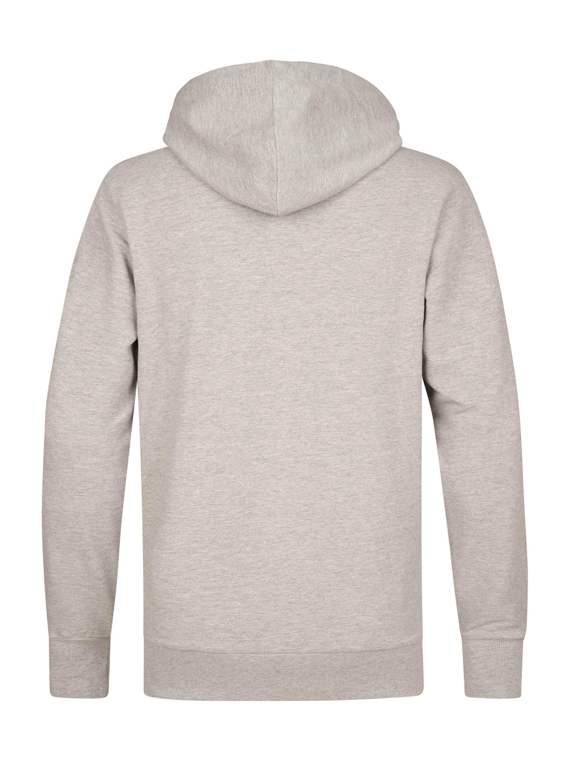 Petrol Industries Свитшот 'Driftwood' в Серый