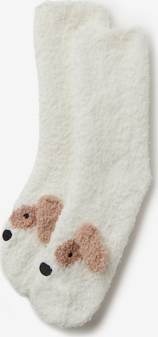 CALZEDONIA Socks in White: front