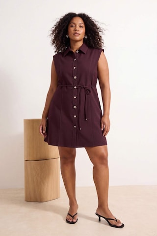 Trendyol Curve - Vestido camisero en marrón: frente