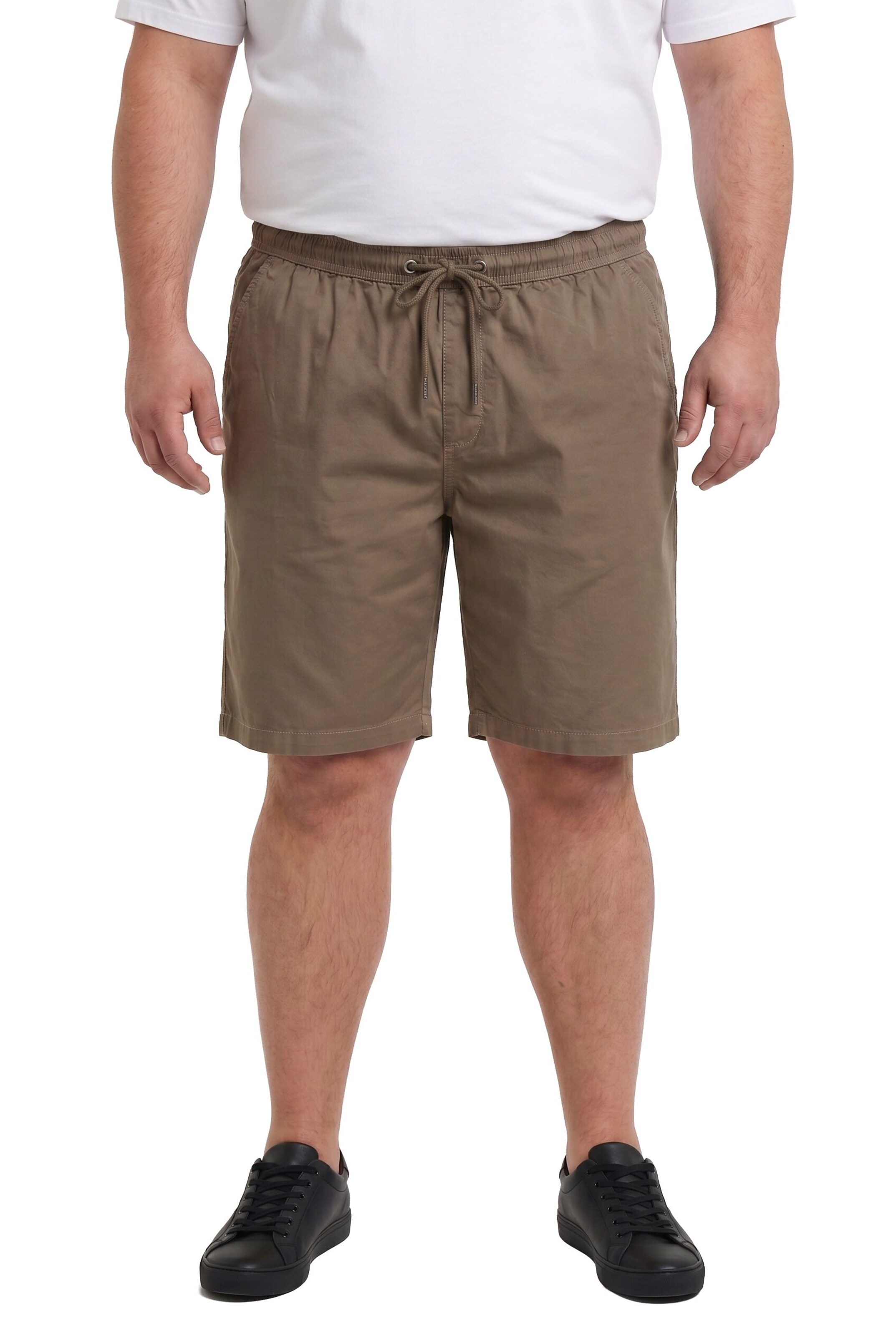Men Plus Regular Pants in Brown: front