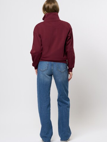 U.S. POLO ASSN. Pullover 'Katie' i rød