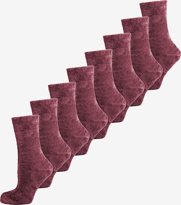 Nur Die Sokken in Rood: voorkant