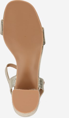 Dorothy Perkins Sandalen met riem in Goud