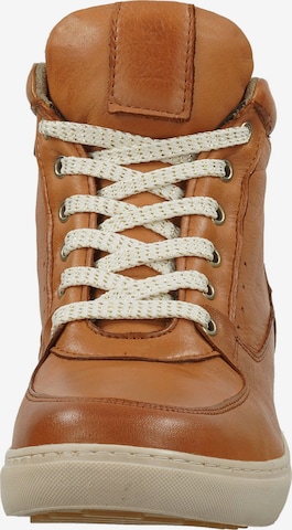 HUSH PUPPIES Lace-Up Ankle Boots in Brown