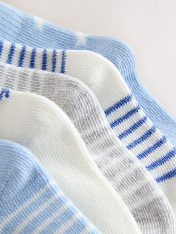 Next Socks in Blue
