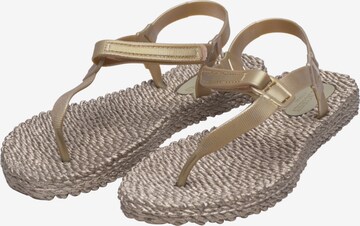 ILSE JACOBSEN T-Bar Sandals 'CHEERFUL14' in Gold