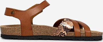 Bayton Strap Sandals 'Denia' in Brown