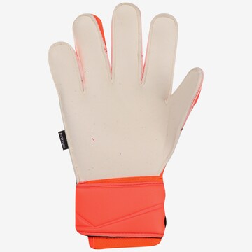 ADIDAS PERFORMANCE Athletic Gloves 'Predator Edge' in Orange