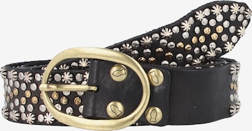 Campomaggi Belt in Black: front