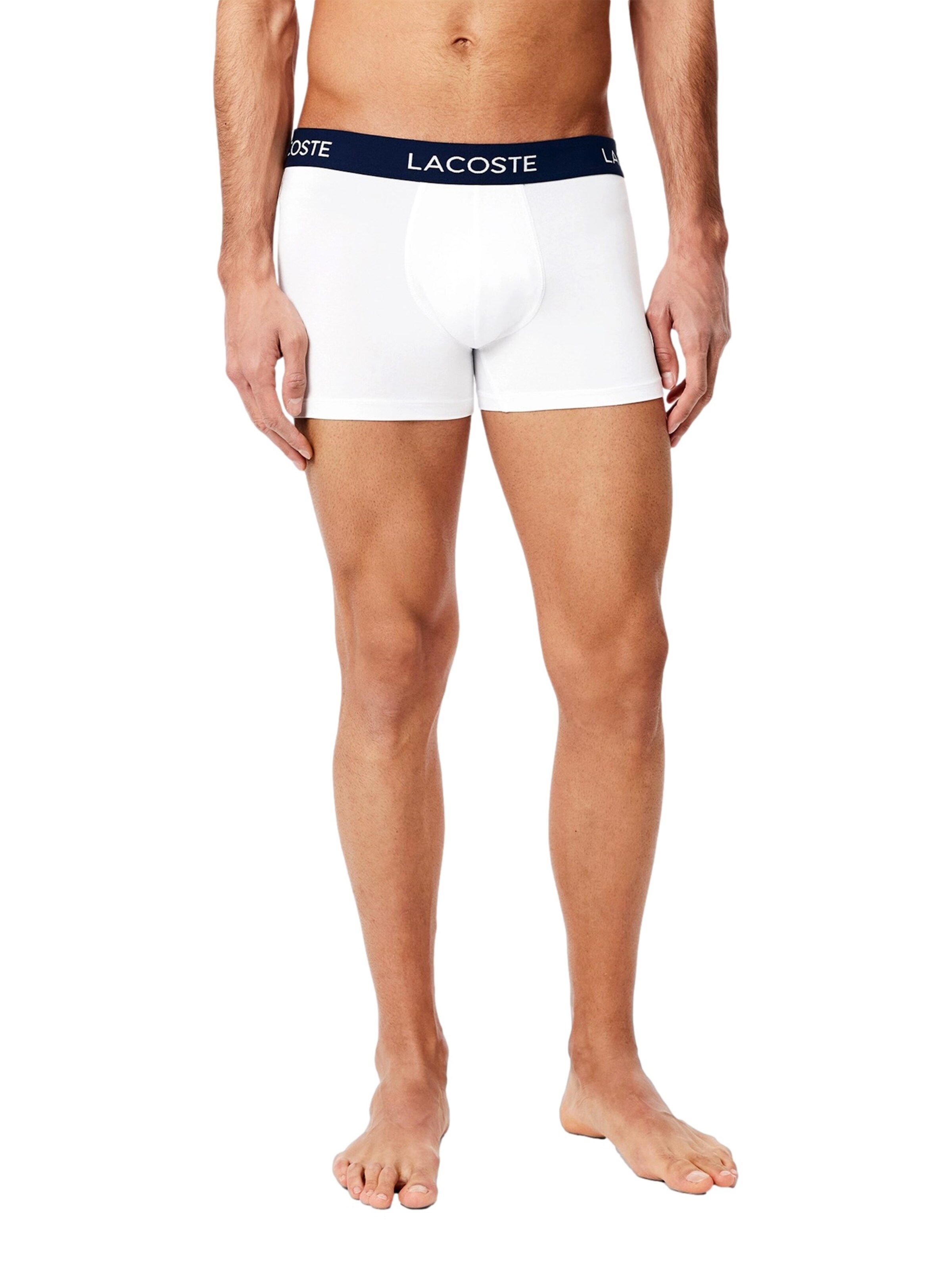 LACOSTE Trunks in Mischfarben: Vorderseite