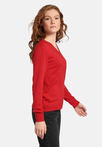 Peter Hahn Sweater 'Pullover aus 100% Schurwolle Pure Tasmanian Wool' in Red