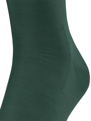 FALKE Knee High Socks 'ClimaWool' in Green