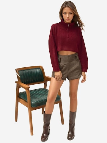 Hiccup Trui 'Pullover' in Rood: voorkant