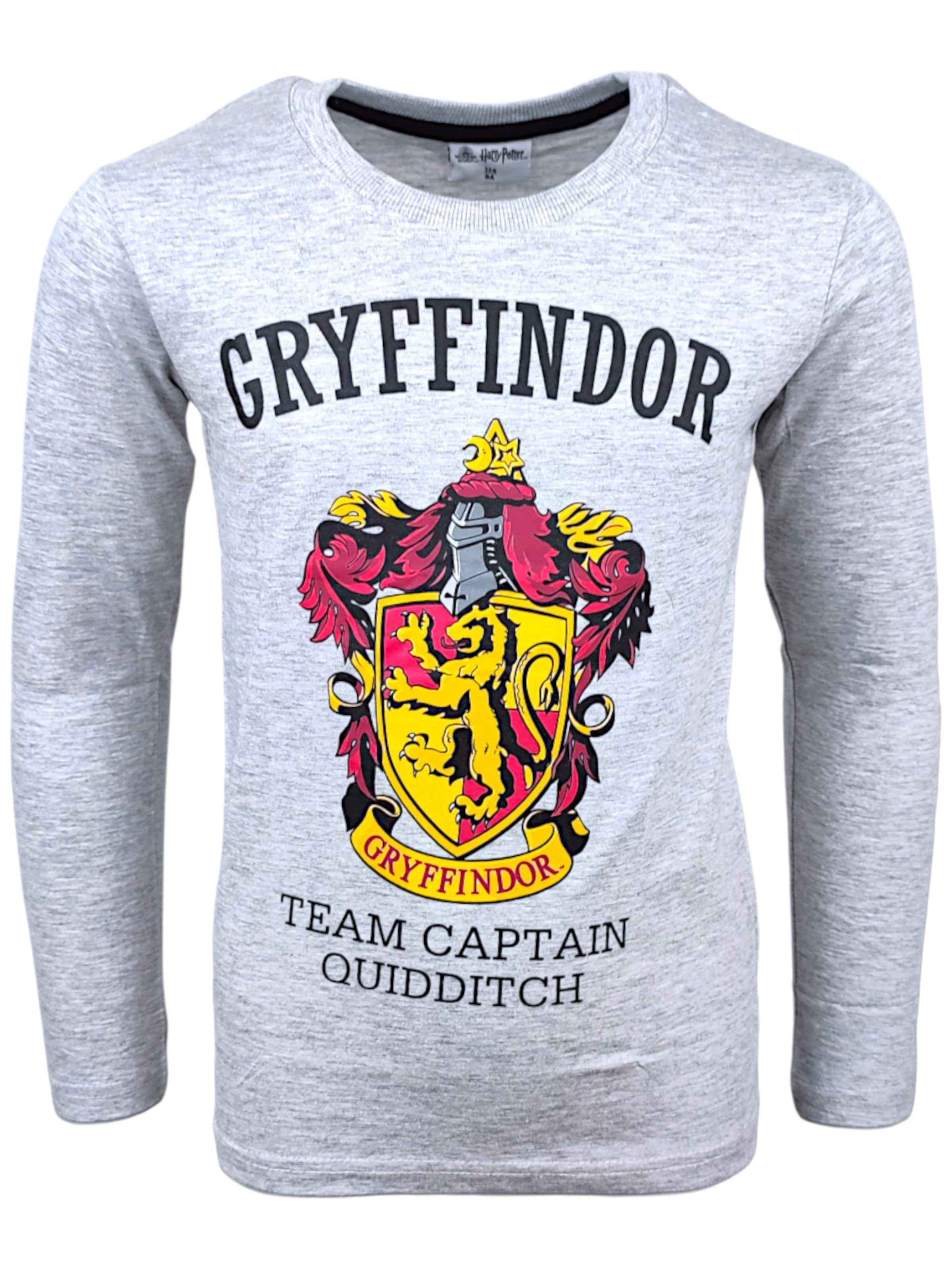 Harry Potter Shirt 'Harry Potter Langarmshirt Gryffindor'‌‌‌‌‌‌‌ in Grau: Vorderseite