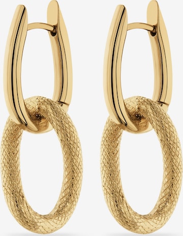 FAVS Earrings in Gold: front