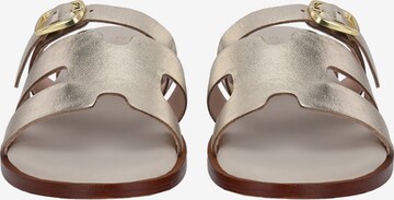 Crickit Strap Sandals 'ODETTE' in Gold