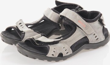 ECCO Sandals & High-Heeled Sandals in 36 in Grey: front