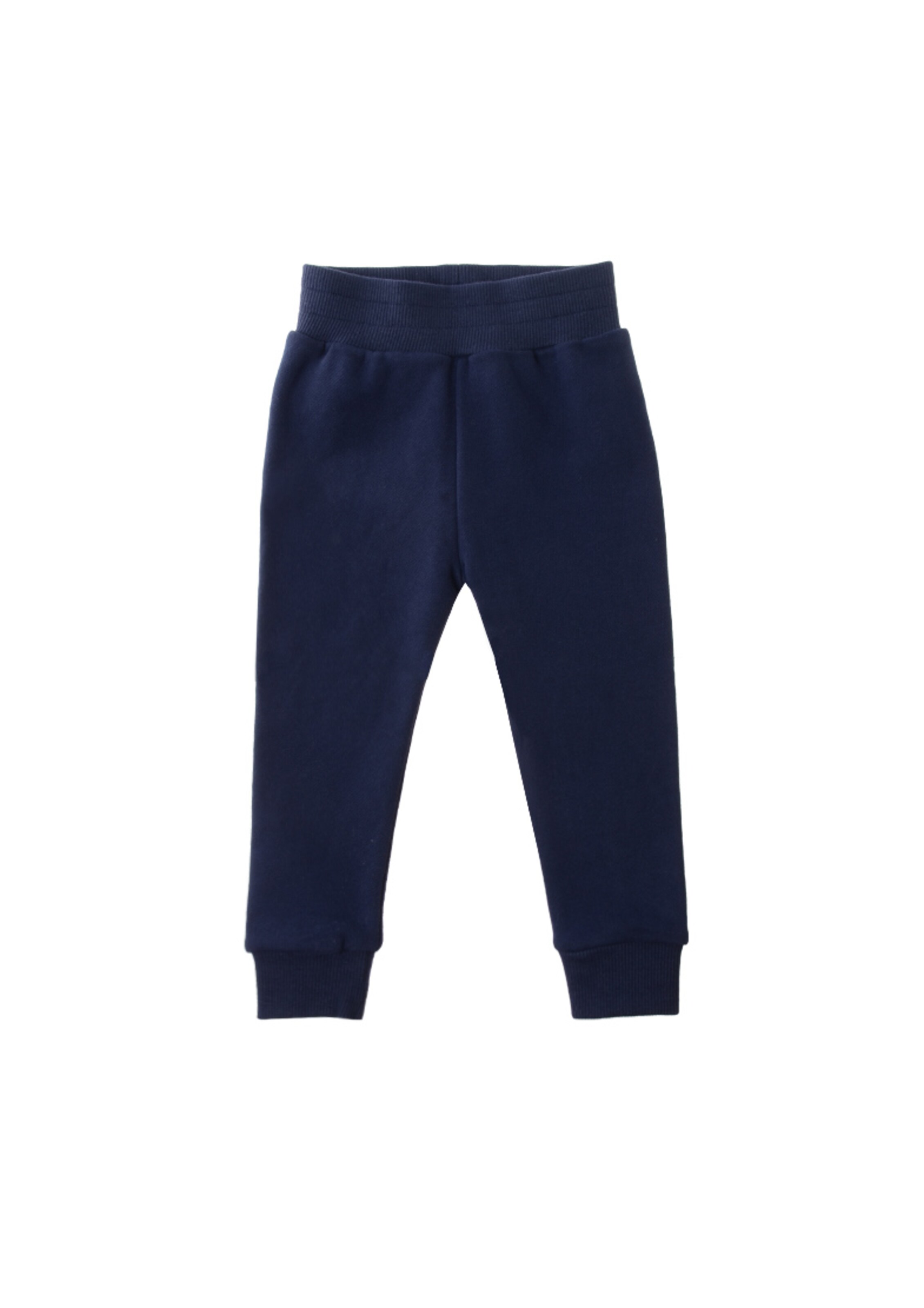 LILIPUT Regular Pants in Blue: front