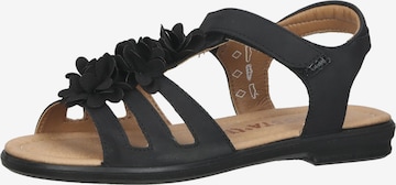 RICOSTA Sandals 'Aurora' in Black: front