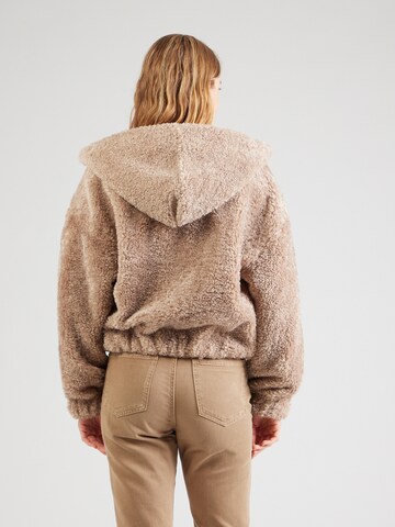 Veste mi-saison HOLLISTER en marron