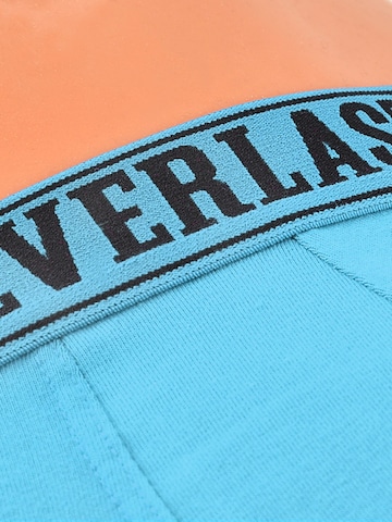 Everlast Boxershorts in Gemengde kleuren