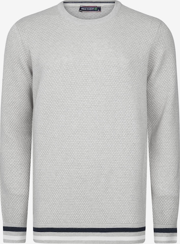 Pullover di Felix Hardy in grigio: frontale